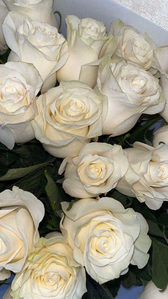 Whispers of Dawn Pastel Posy